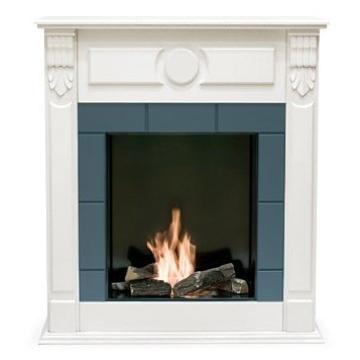 Fireplace Bioteplo Swan 