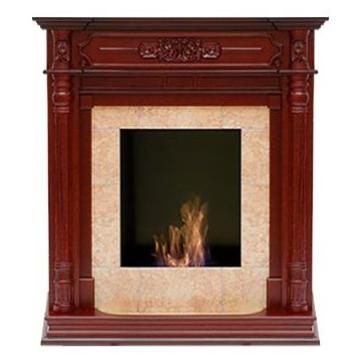 Fireplace Bioteplo Триумф 