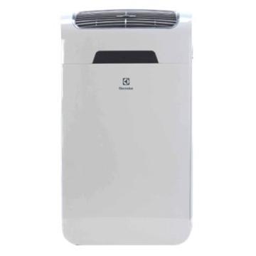 Air conditioner Electrolux EACM-14 GE/N3 