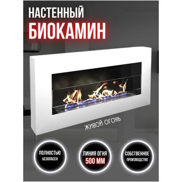 Fireplace Русский Огонь Бланк 900N 