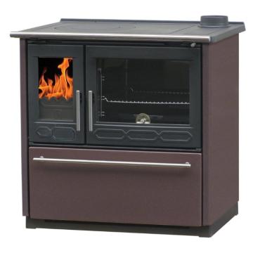 Stove Plamen Termo Glas труба слева 